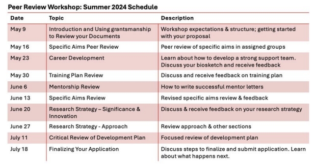 CVI Summer Peer Review Workshop Schedule