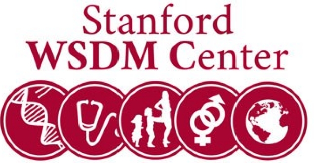 WSDM Center logo