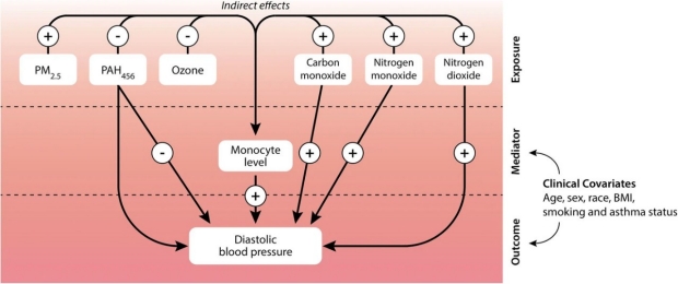 graphic illustrating analysis of exposure influencing blood pressure