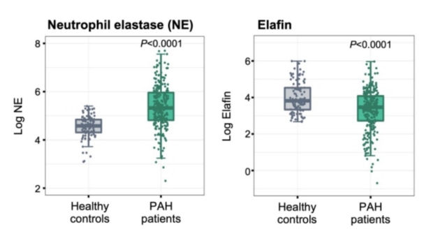 neutrophil elastase and Elafin