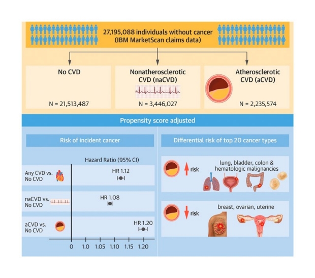 Infographic: This study used a cohort of 27 million individuals to show that cardiovascular disease was associated with a higher risk of cancer.